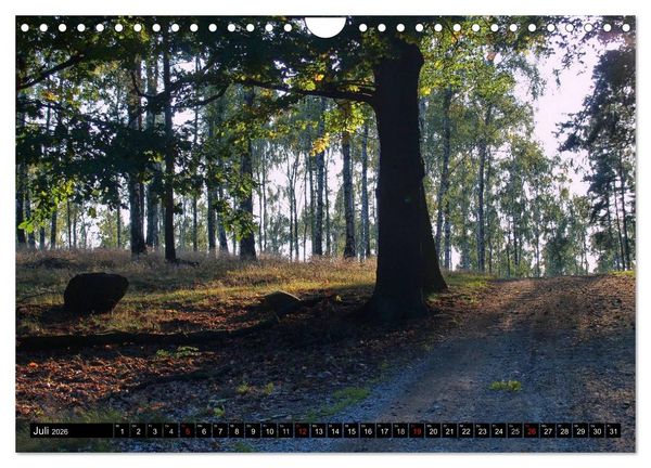Produktbild: Brandenburg'sche Impressionen (Wandkalender 2026 DIN A4 quer), CALVENDO Monatskalender