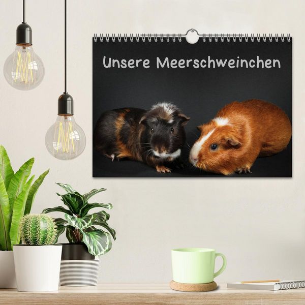 Produktbild: Unsere Meerschweinchen (Wandkalender 2026 DIN A4 quer), CALVENDO Monatskalender