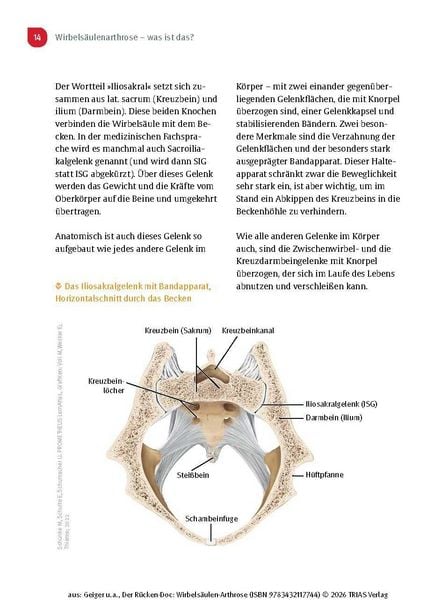 Produktbild: Der R&uuml;cken-Doc: Wirbels&auml;ulen-Arthrose