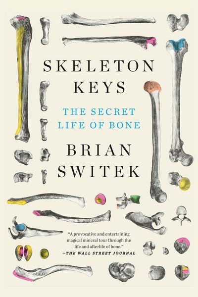 Produktbild: Skeleton Keys
