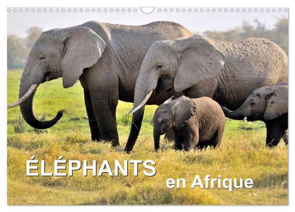 Éléphants en Afrique (Calendrier mural 2026 DIN A3 vertical), CALVENDO calendrier mensuel