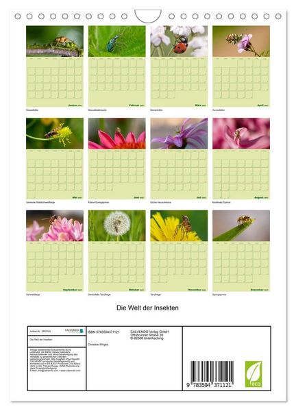 Produktbild: Die Welt der Insekten (Wandkalender 2027 DIN A4 hoch), CALVENDO Monatskalender