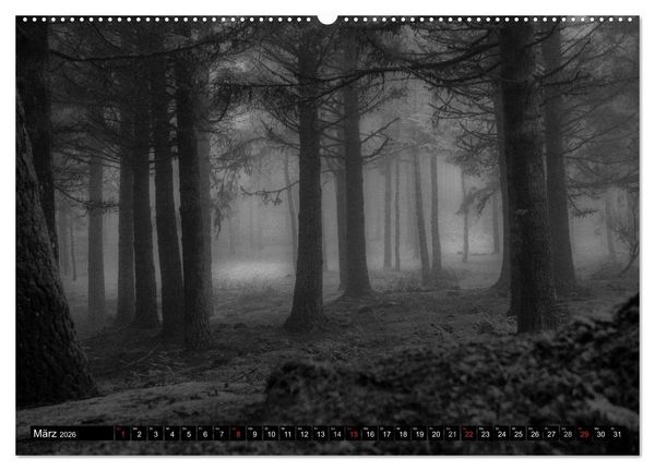 Produktbild: Stille Momente in Schwarz-Weiss (hochwertiger Premium Wandkalender 2026 DIN A2 quer), Kunstdruck in Hochglanz
