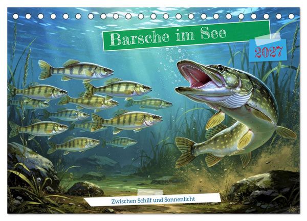 Produktbild: Barsche im See (Tischkalender 2027 DIN A5 quer), CALVENDO Monatskalender