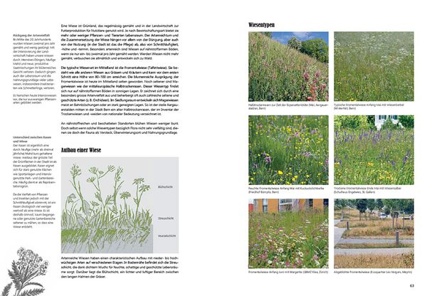 Produktbild: Praxishandbuch Stadtnatur
