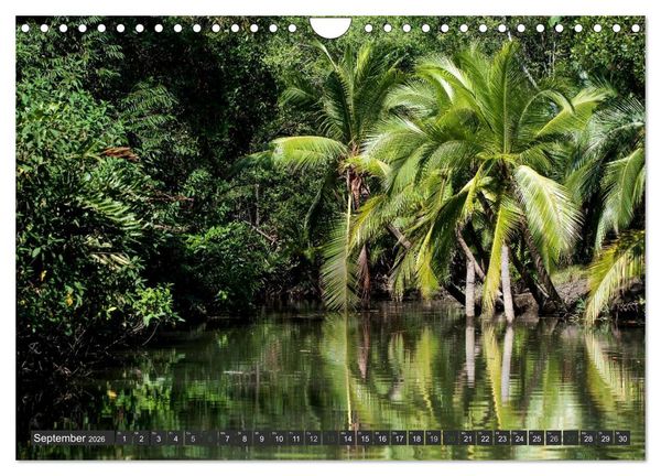 Produktbild: COSTA RICA - PURA VIDA (Wandkalender 2026 DIN A4 quer), CALVENDO Monatskalender