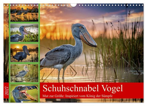 Produktbild: Schuhschnabel Vogel (Wandkalender 2027 DIN A3 quer), CALVENDO Monatskalender