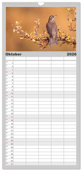 Produktbild: Familienplaner 2026 - Island - Traumland am Rande der Arktis mit 5 Spalten (Wandkalender, 21 x 45 cm) CALVENDO