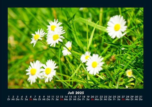 Produktbild: Blumentr&auml;ume 2025 Fotokalender DIN A4