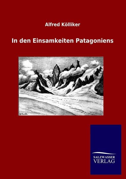 Produktbild: In den Einsamkeiten Patagoniens