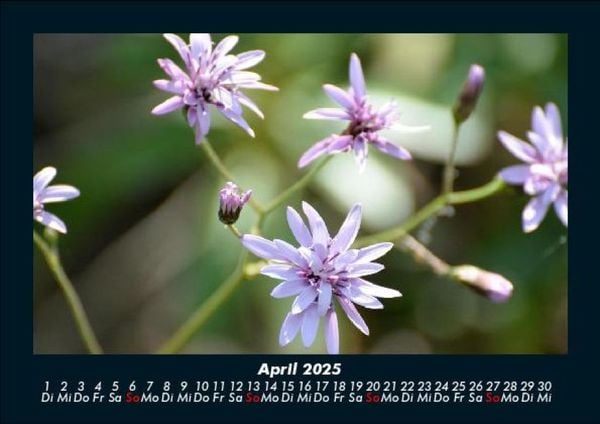Produktbild: Bilder der Natur 2025 Fotokalender DIN A5