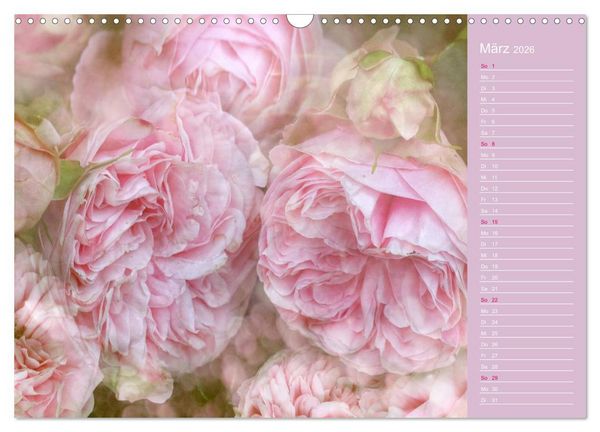 Produktbild: Romantische Rosen (Wandkalender 2026 DIN A3 quer), CALVENDO Monatskalender