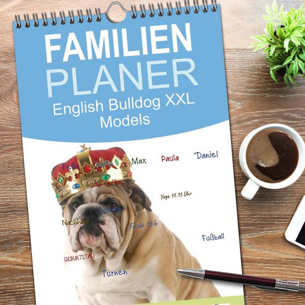 Produktbild: Familienplaner 2026 - English Bulldog XXL Models mit 5 Spalten (Wandkalender, 21 x 45 cm) CALVENDO