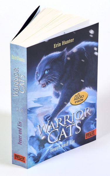 Produktbild: Warrior Cats. Die Prophezeiungen beginnen - Feuer und Eis