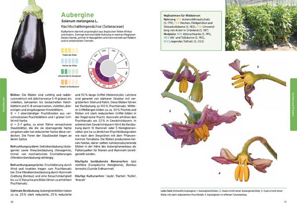 Produktbild: Praxishandbuch Nutzpflanzenbest&auml;ubung