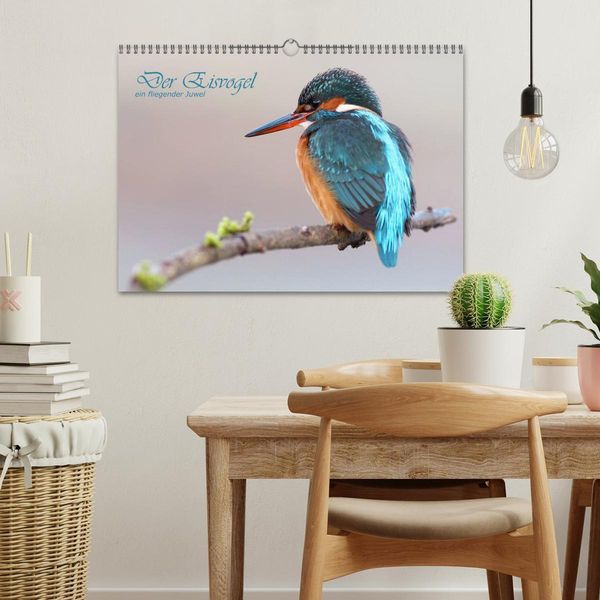 Produktbild: Der Eisvogel (Wandkalender 2026 DIN A3 quer), CALVENDO Monatskalender