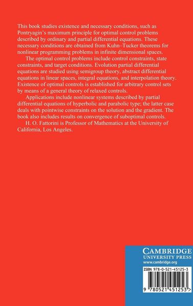 Produktbild: Infinite Dimensional Optimization and Control Theory