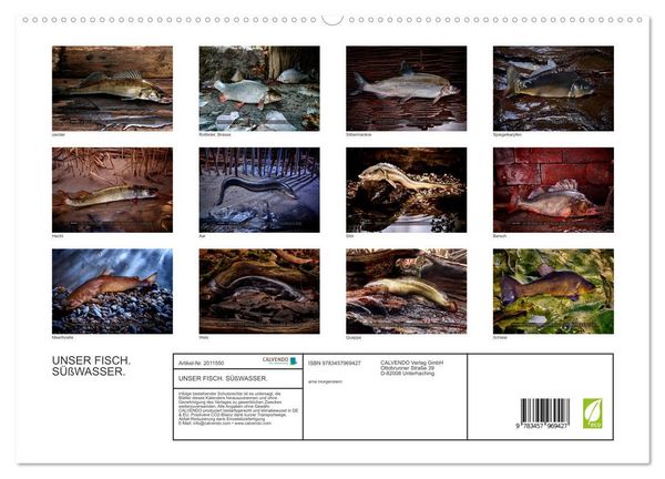 Produktbild: UNSER FISCH. S&Uuml;&szlig;WASSER. (hochwertiger Premium Wandkalender 2026 DIN A2 quer), Kunstdruck in Hochglanz