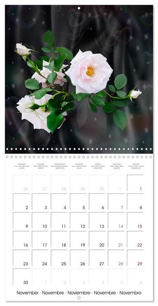 Produktbild: Sheer joy (Wall Calendar 2026 12 &times; 12 Inch) CALVENDO 12 Month Wall Calendar