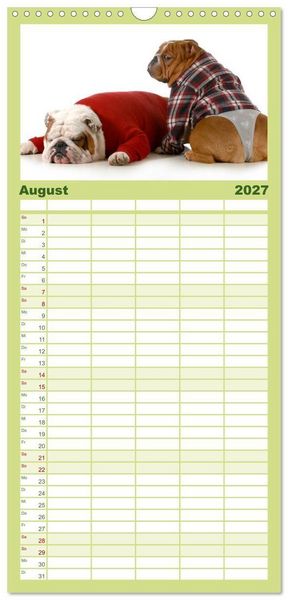 Produktbild: Familienplaner 2027 - English Bulldog XXL Models mit 5 Spalten (Wandkalender, 21 x 45 cm) CALVENDO