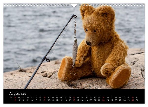Produktbild: Teddy Basse, Fortsetzung... (Wandkalender 2026 DIN A3 quer), CALVENDO Monatskalender