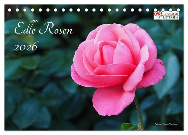 Edle Rosen (Tischkalender 2026 DIN A5 quer), CALVENDO Monatskalender