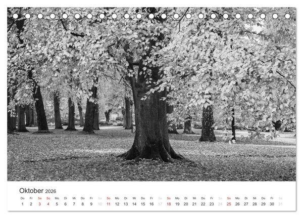 Produktbild: B&auml;ume - Natursch&ouml;nheiten in schwarz-wei&szlig; (Tischkalender 2026 DIN A5 quer), CALVENDO Monatskalender