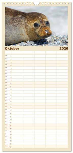 Produktbild: Familienplaner 2026 - Das Leben der Robben mit 5 Spalten (Wandkalender, 21 x 45 cm) CALVENDO