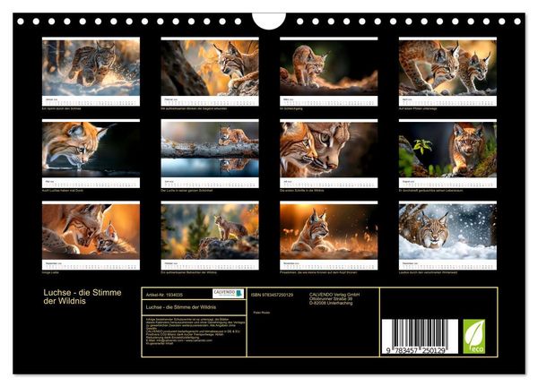 Produktbild: Luchse - die Stimme der Wildnis (Wandkalender 2026 DIN A4 quer), CALVENDO Monatskalender