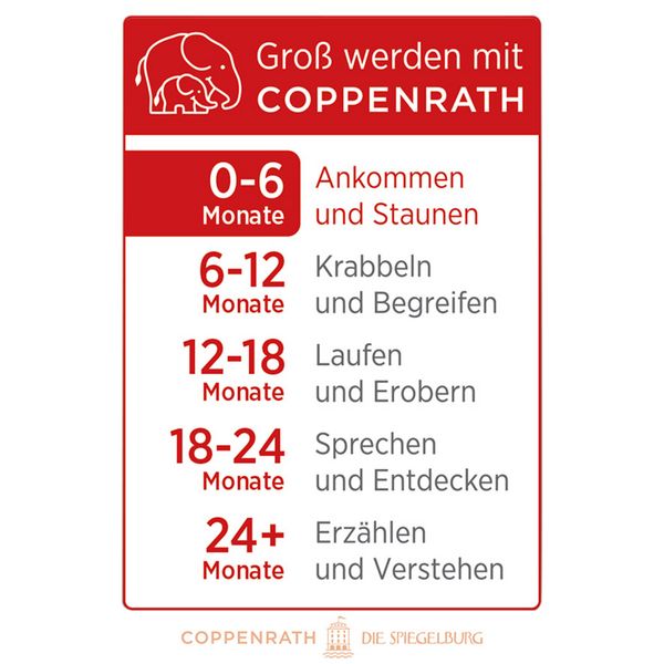 Produktbild: Babys Kontrast-Zauber-Badebuch