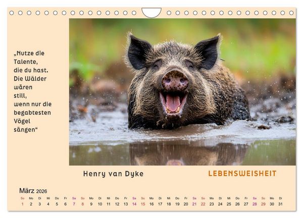 Produktbild: Pfiffig und weise (Wandkalender 2026 DIN A4 quer), CALVENDO Monatskalender