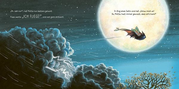 Produktbild: Flapp lernt fliegen