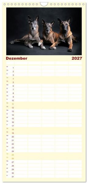 Produktbild: Familienplaner 2027 - Traumhund Malinois mit 5 Spalten (Wandkalender, 21 x 45 cm) CALVENDO
