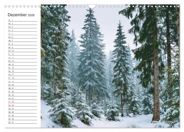 Produktbild: Gr&uuml;ne Zukunft (Wandkalender 2026 DIN A3 quer), CALVENDO Monatskalender