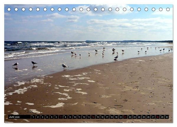 Produktbild: USEDOM - Seeb&auml;der und Naturparadies (Tischkalender 2026 DIN A5 quer), CALVENDO Monatskalender