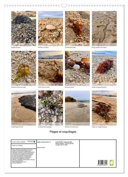 Produktbild: Plages et coquillages (Calendrier mural 2027 DIN A2 horizontal), CALVENDO calendrier mensuel