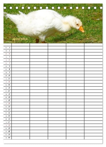Produktbild: Bauernhoftiere Familienplaner (Tischkalender 2026 DIN A5 hoch), CALVENDO Monatskalender