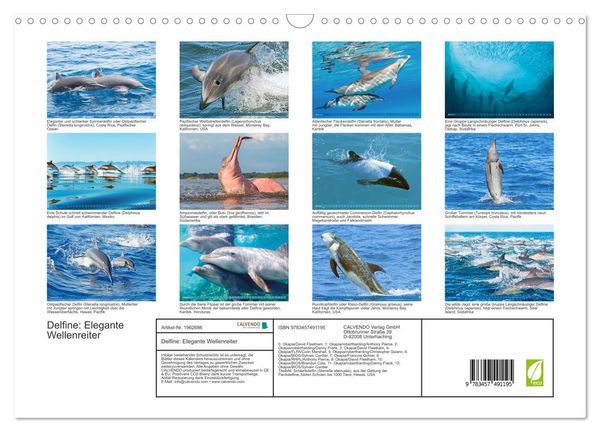 Produktbild: Delfine: Elegante Wellenreiter (Wandkalender 2026 DIN A3 quer), CALVENDO Monatskalender