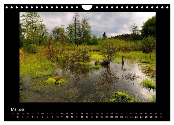 Produktbild: Hohes Venn und Ardennen (Wandkalender 2026 DIN A4 quer), CALVENDO Monatskalender