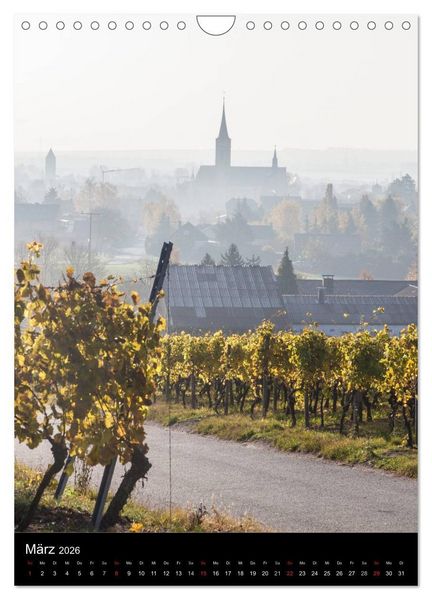 Produktbild: Iphofen - Wein und Kultur (Wandkalender 2026 DIN A4 hoch), CALVENDO Monatskalender