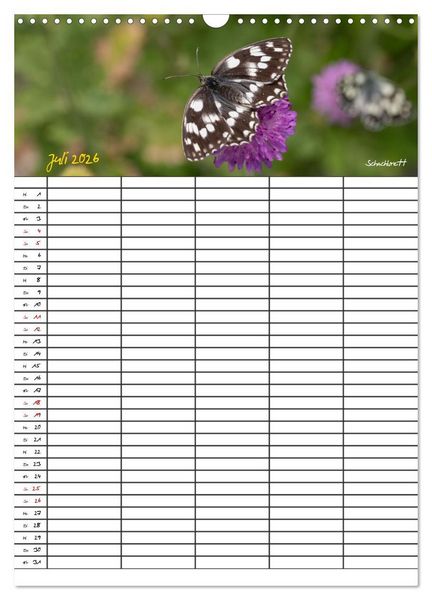 Produktbild: Schmetterlinge in Bayern (Wandkalender 2026 DIN A3 hoch), CALVENDO Monatskalender
