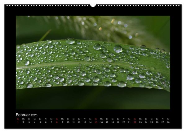 Produktbild: Meine kleine gr&uuml;ne Wassertropfen Welt (hochwertiger Premium Wandkalender 2026 DIN A2 quer), Kunstdruck in Hochglanz