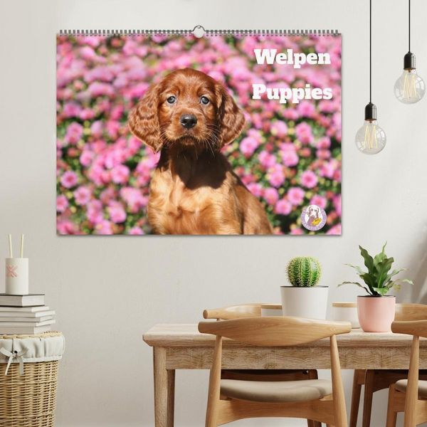 Produktbild: Welpen - Puppies (Wandkalender 2027 DIN A2 quer), CALVENDO Monatskalender
