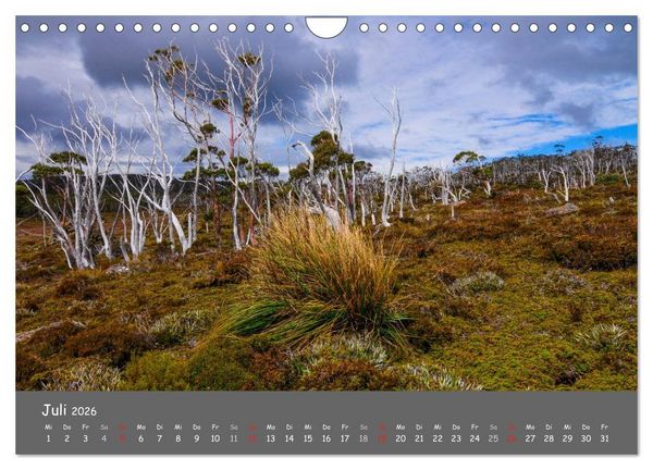 Produktbild: Naturlandschaften Tasmaniens (Wandkalender 2026 DIN A4 quer), CALVENDO Monatskalender