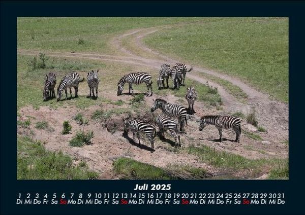 Produktbild: Zebrazauber 2025 Fotokalender DIN A5