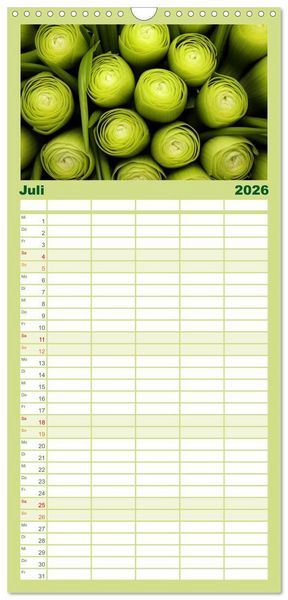Produktbild: Familienplaner 2026 - GR&Uuml;N - Gem&uuml;se und Obst - Knackig und Frisch mit 5 Spalten (Wandkalender, 21 x 45 cm) CALVENDO