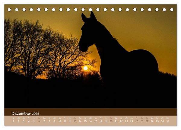 Produktbild: Mit Pferden durch&acute;s Jahr (Tischkalender 2026 DIN A5 quer), CALVENDO Monatskalender