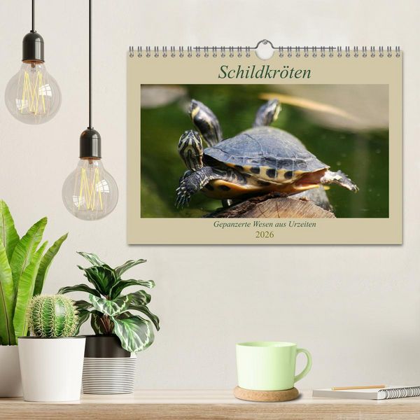 Produktbild: Schildkr&ouml;ten - Gepanzerte Wesen aus Urzeiten (Wandkalender 2026 DIN A4 quer), CALVENDO Monatskalender