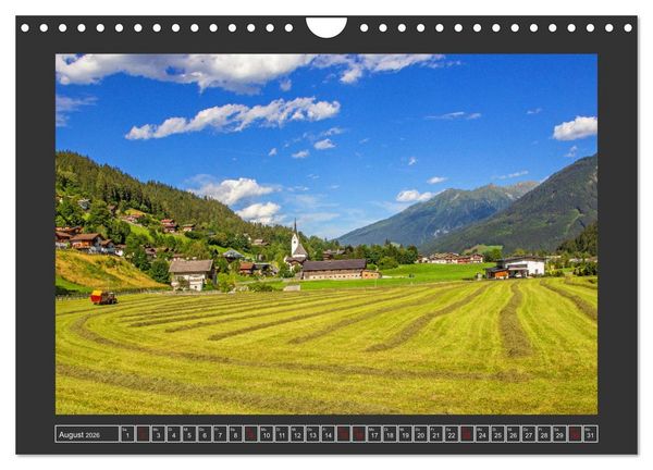 Produktbild: Gr&uuml;&szlig;e aus Wald (Wandkalender 2026 DIN A4 quer), CALVENDO Monatskalender