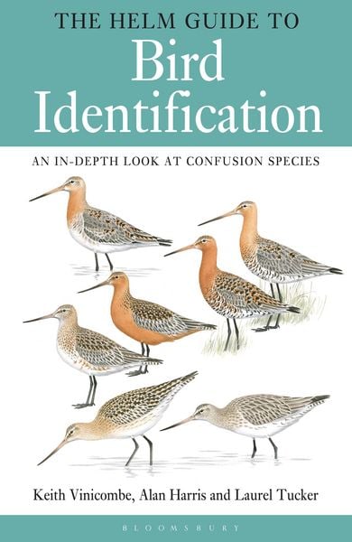 Produktbild: The Helm Guide to Bird Identification